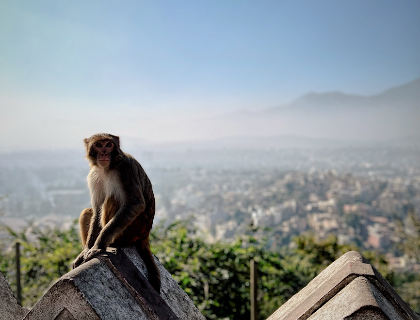 Annapurna Base Camp Trek