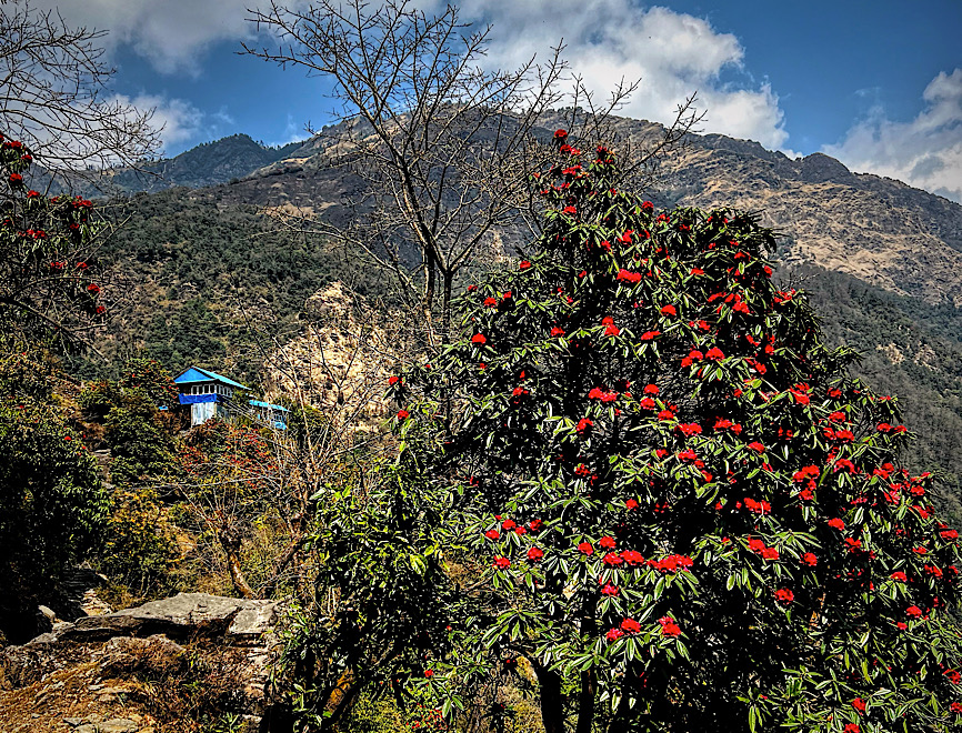 Annapurna Base Camp Trek