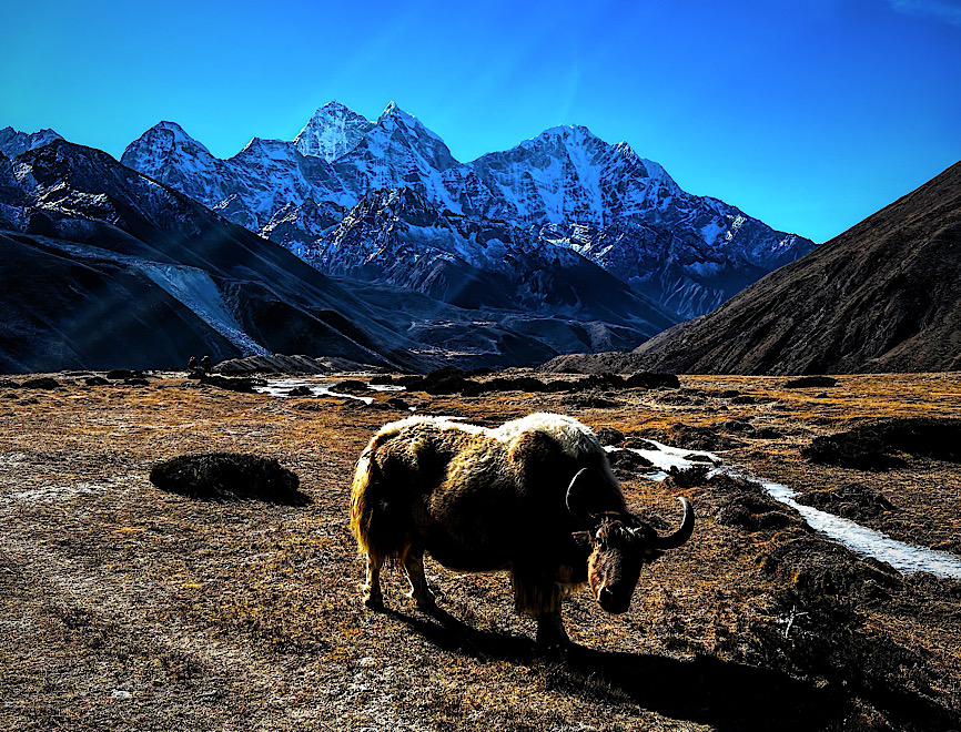 Everest Base Camp Trek