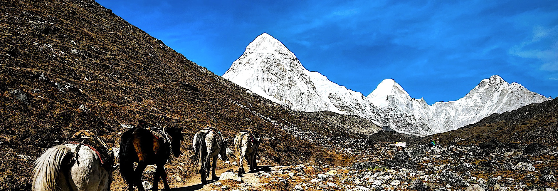 Everest Base Camp Trek