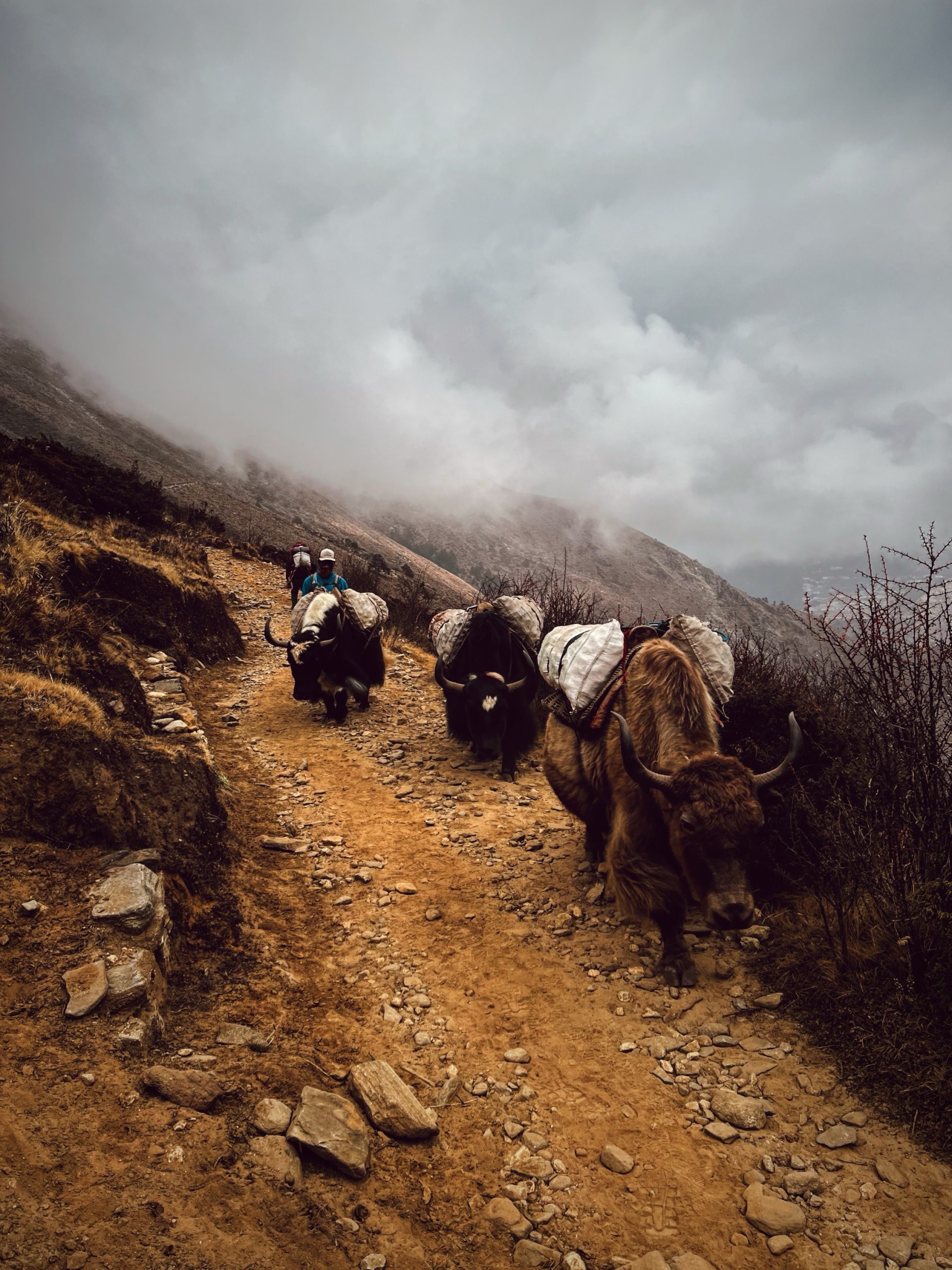 Everest Base Camp Trek